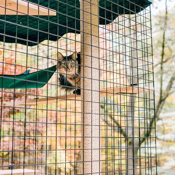 Outdoor Cat Climbing and Scratch Post